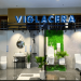 Viglacere và chiến lược phát triển sản phẩm xanh 5 Viglacere và chiến lược phát triển sản phẩm xanh