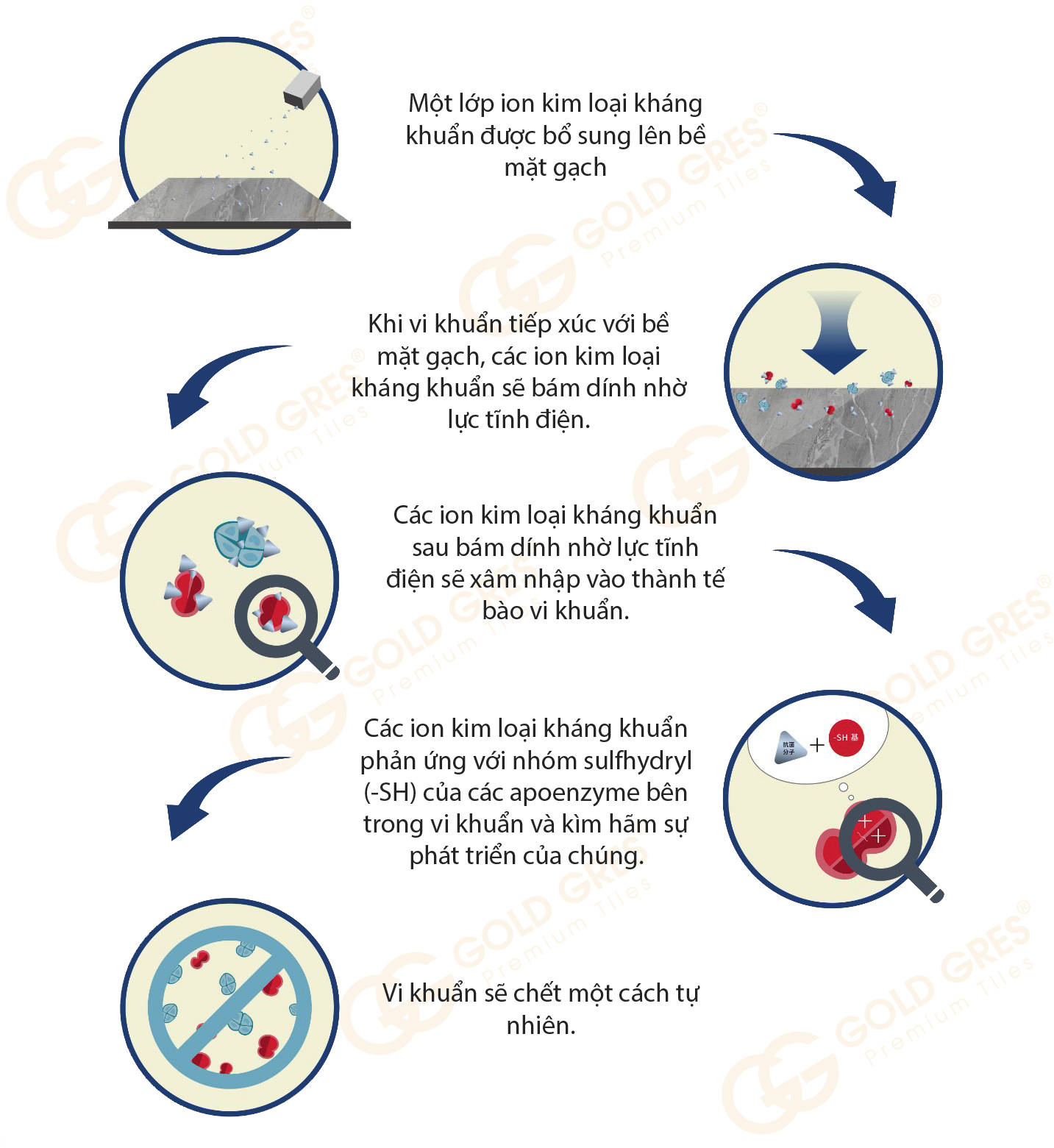 Gạch lát nền hiện đại với Công nghệ kháng khuẩn đột phá: Sang trọng và An toàn cho gia đình 5 Gạch lát nền hiện đại với Công nghệ kháng khuẩn