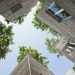House for Trees – Ashui Awards 2014